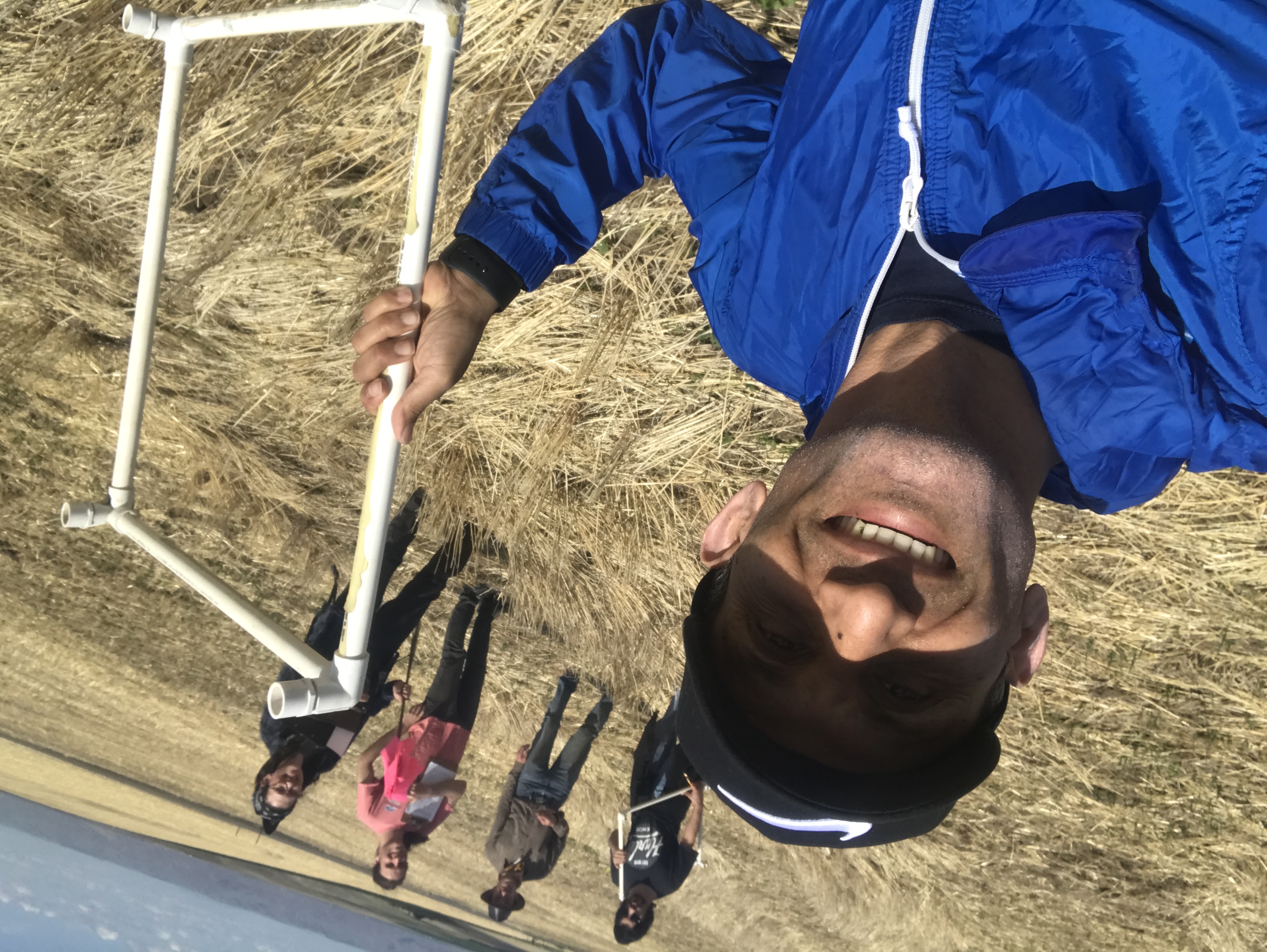 Field Crew Collecting Emergence Counts